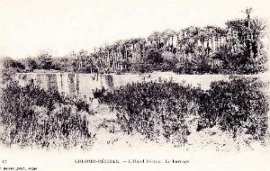 Colomb Bechar 075
